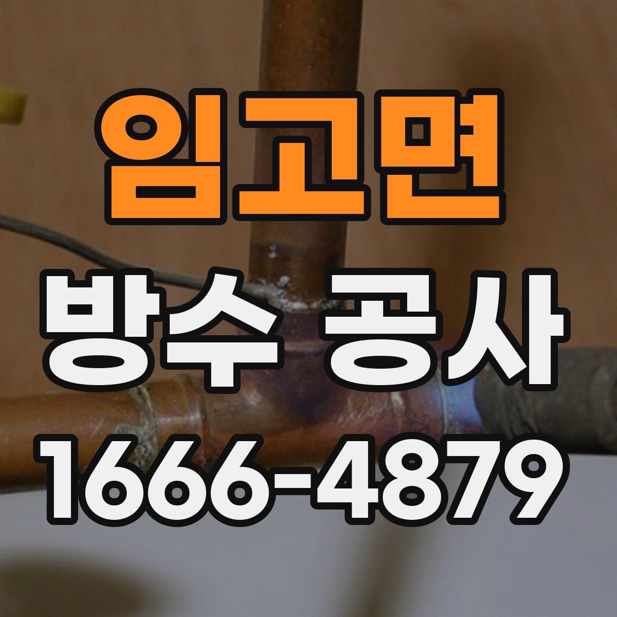 임고면 방수 공사