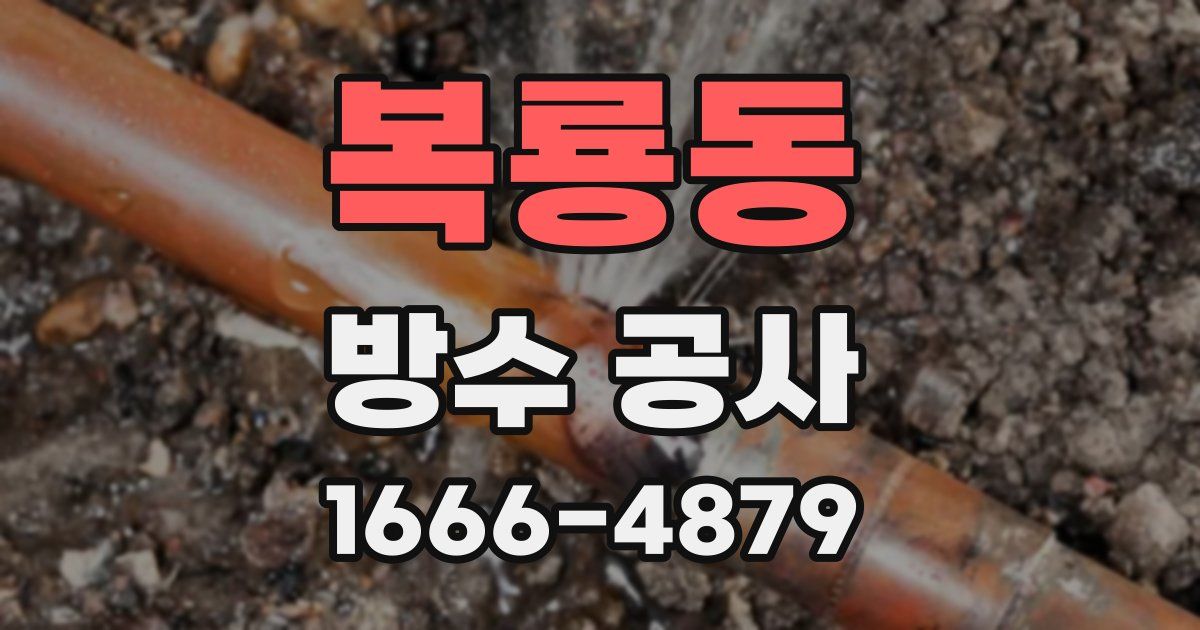 복룡동 방수 공사