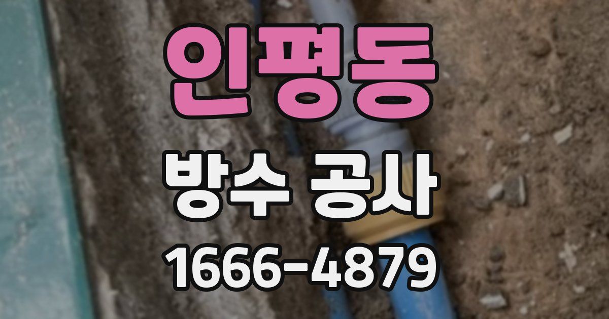 인평동 방수 공사