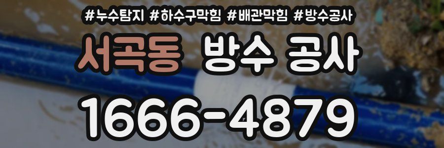 서곡동 방수 공사