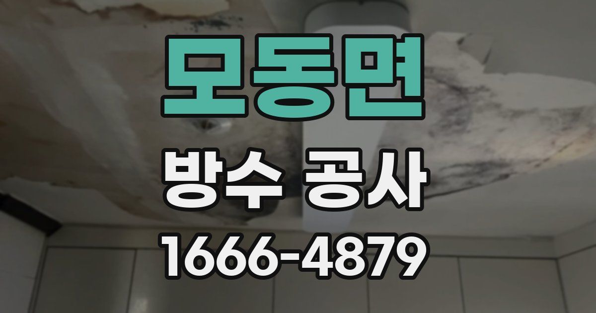 모동면 방수 공사