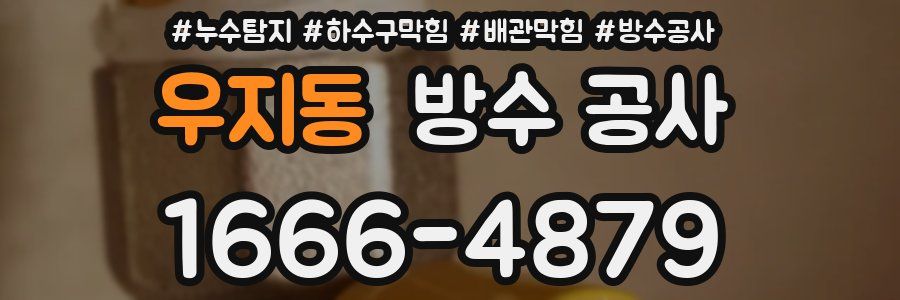 우지동 방수 공사