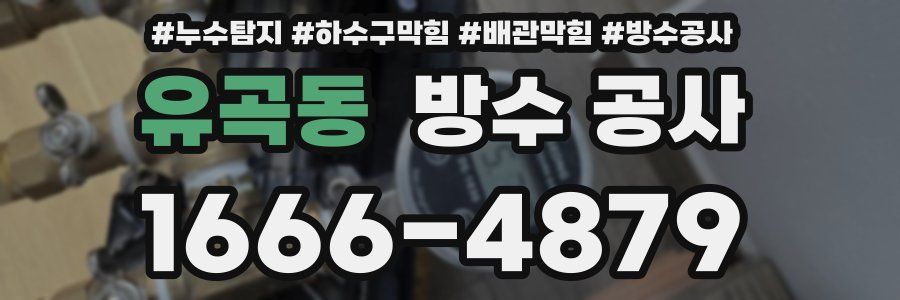 유곡동 방수 공사
