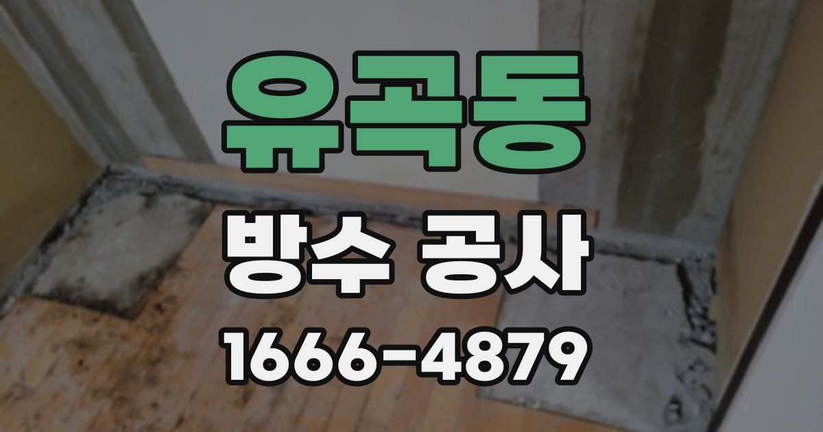 유곡동 방수 공사
