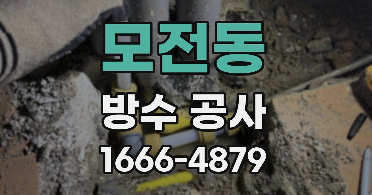 모전동 방수 공사