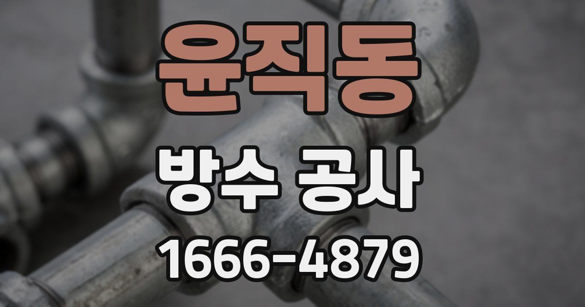 윤직동 방수 공사