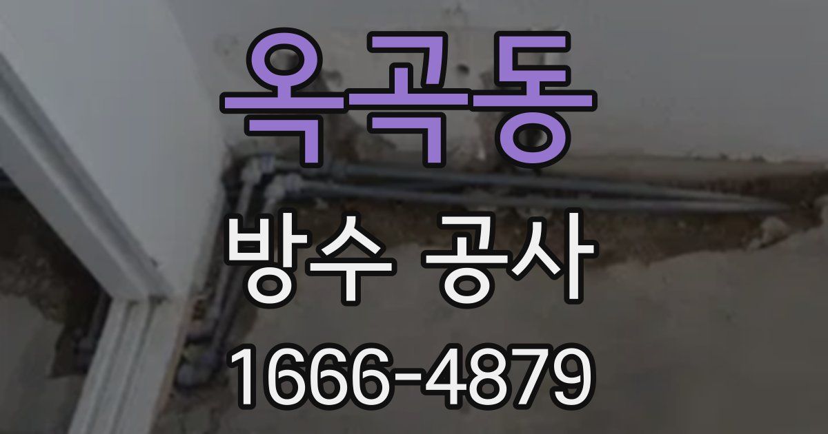 옥곡동 방수 공사