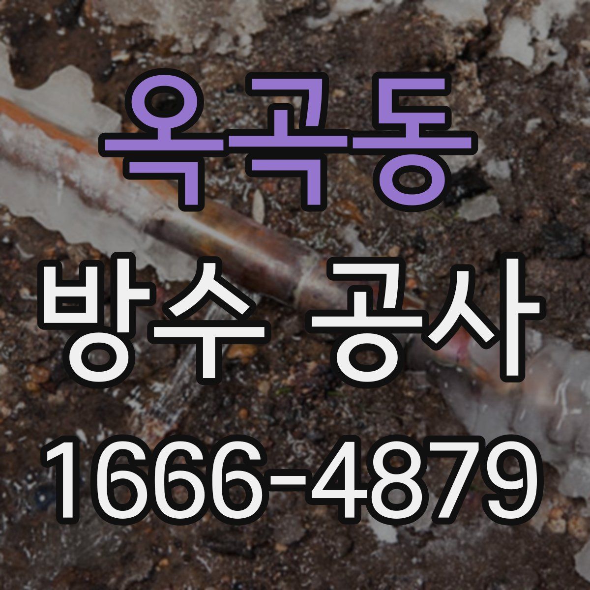 옥곡동 방수 공사