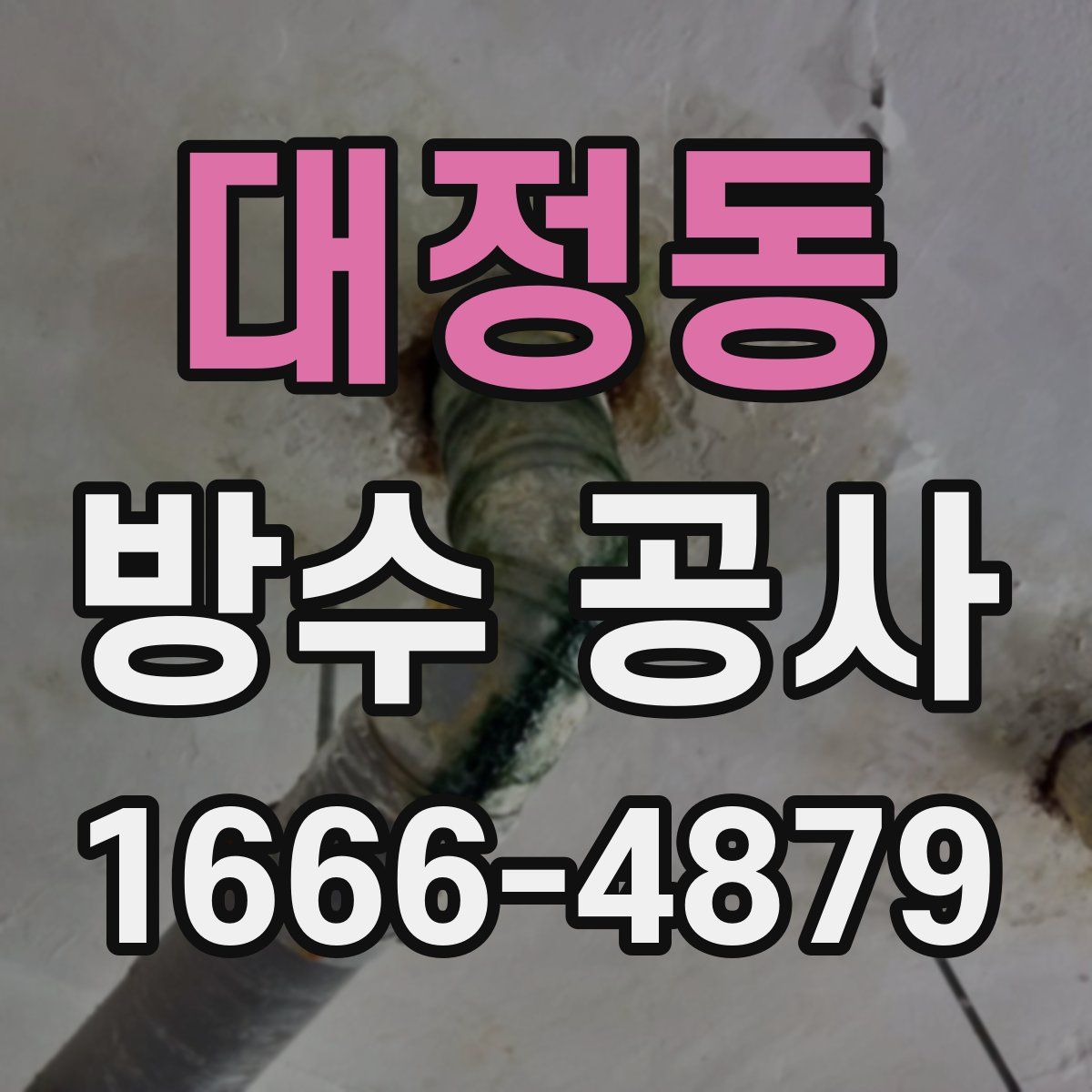대정동 방수 공사