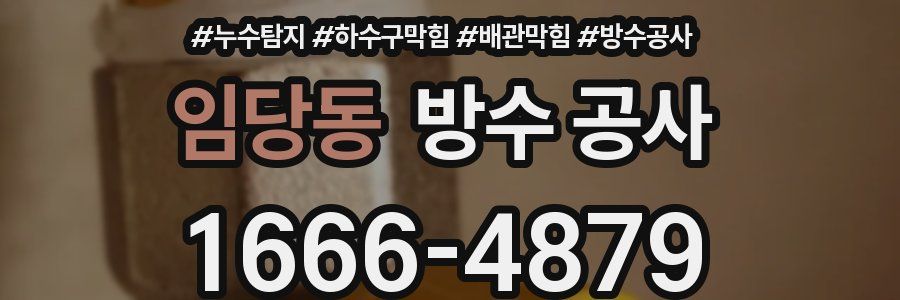 임당동 방수 공사