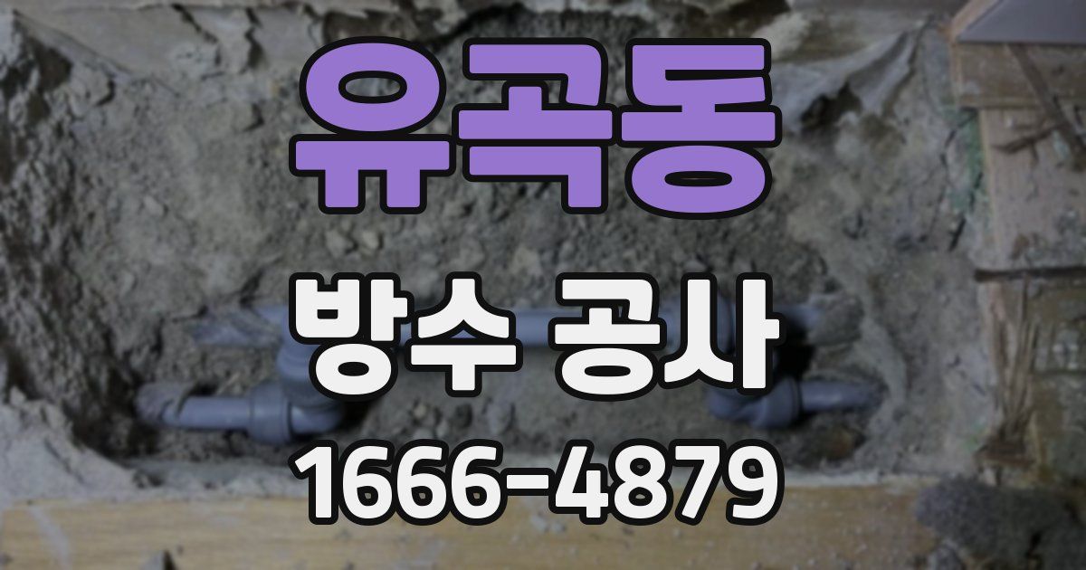 유곡동 방수 공사
