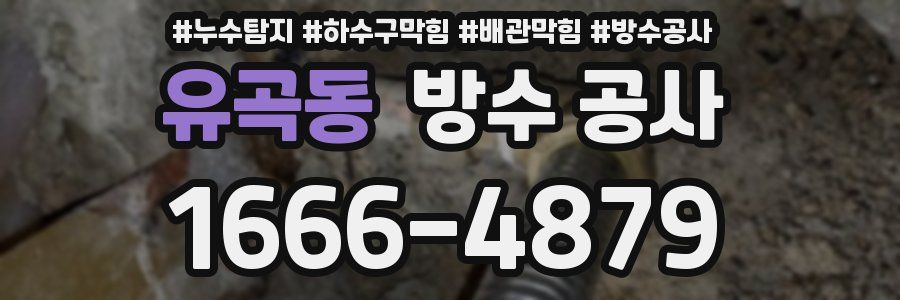 유곡동 방수 공사