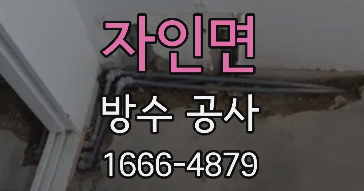 자인면 방수 공사
