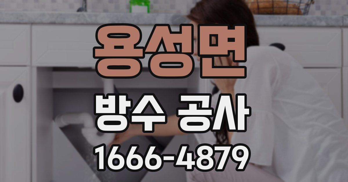 용성면 방수 공사