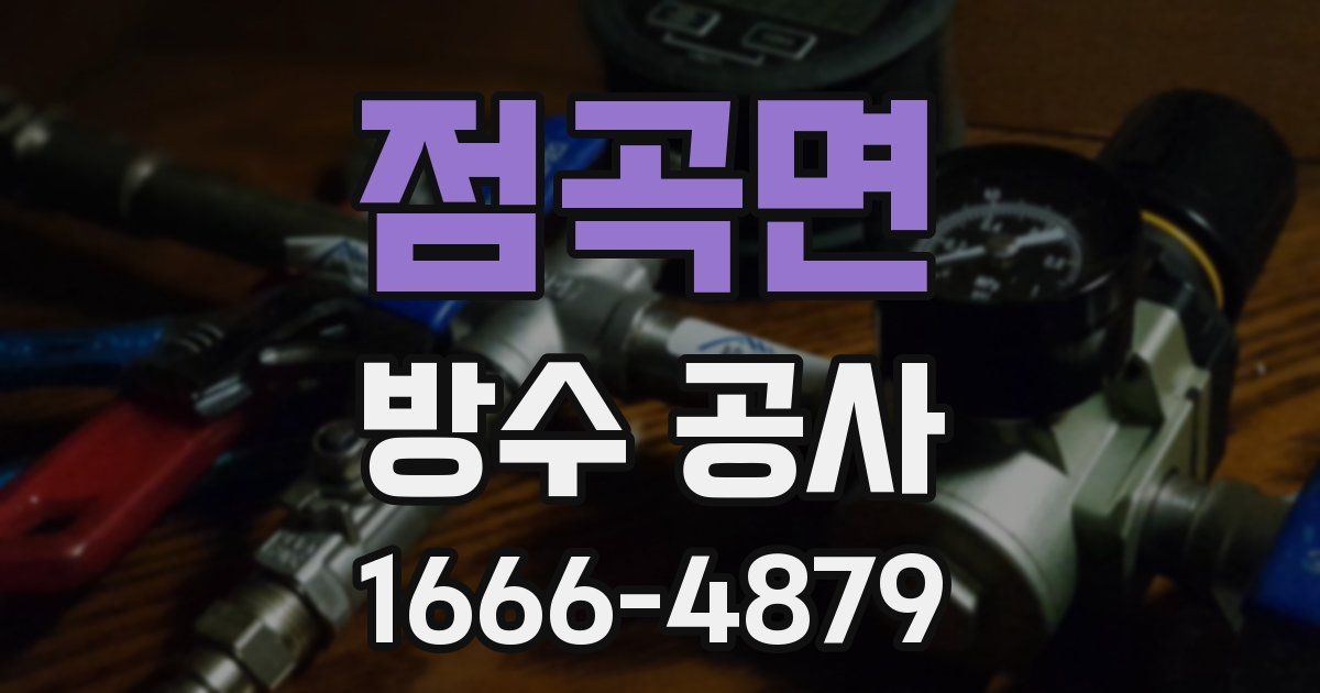 점곡면 방수 공사