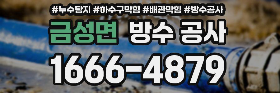 금성면 방수 공사