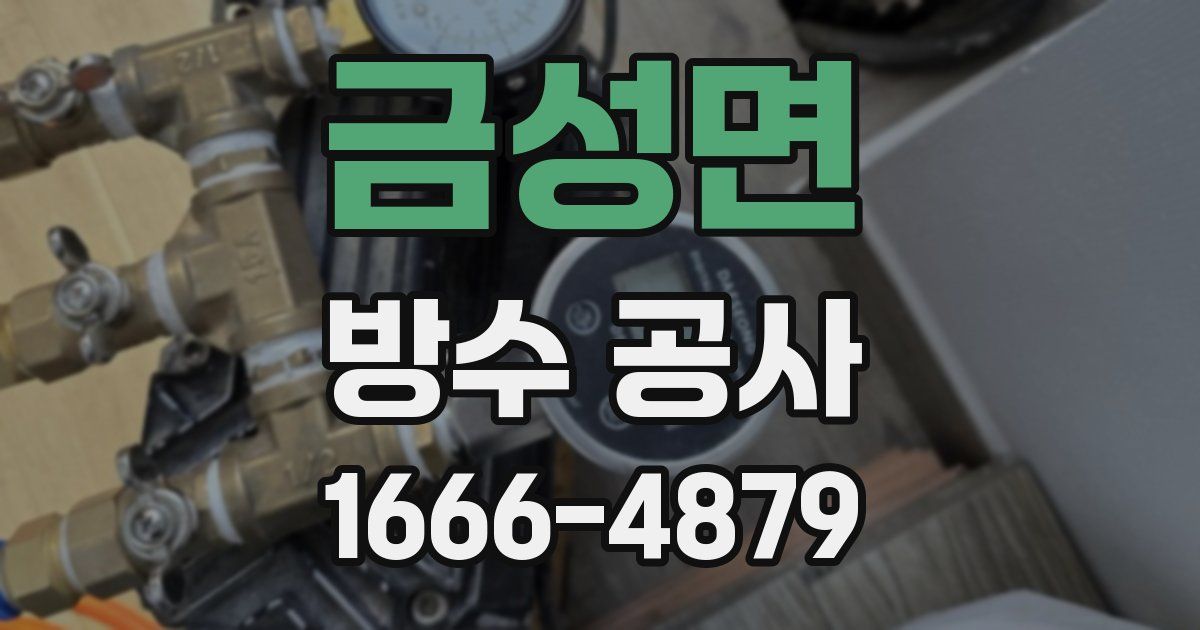 금성면 방수 공사