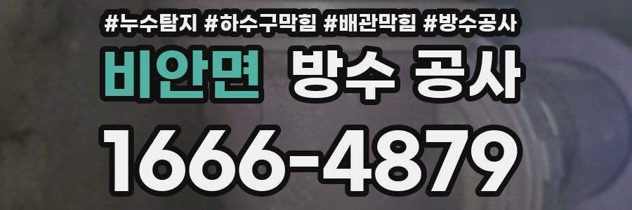비안면 방수 공사