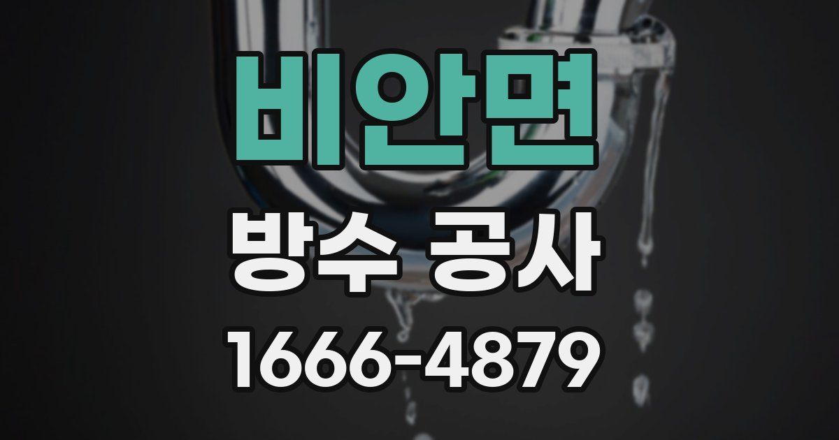 비안면 방수 공사