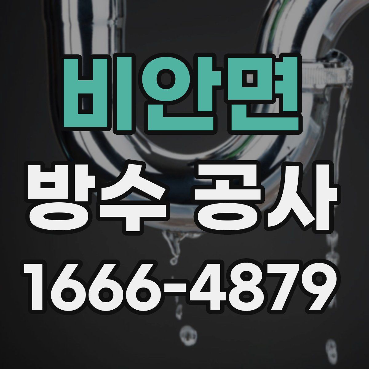 비안면 방수 공사