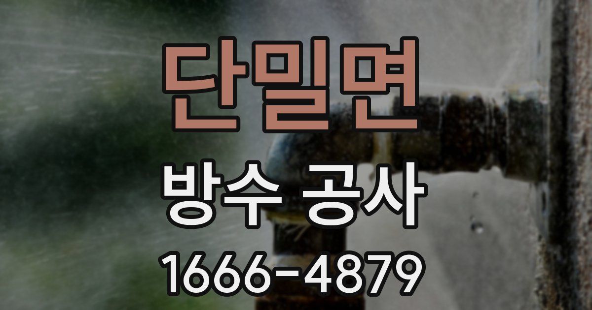 단밀면 방수 공사