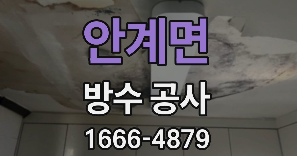 안계면 방수 공사