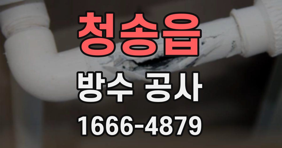 청송읍 방수 공사