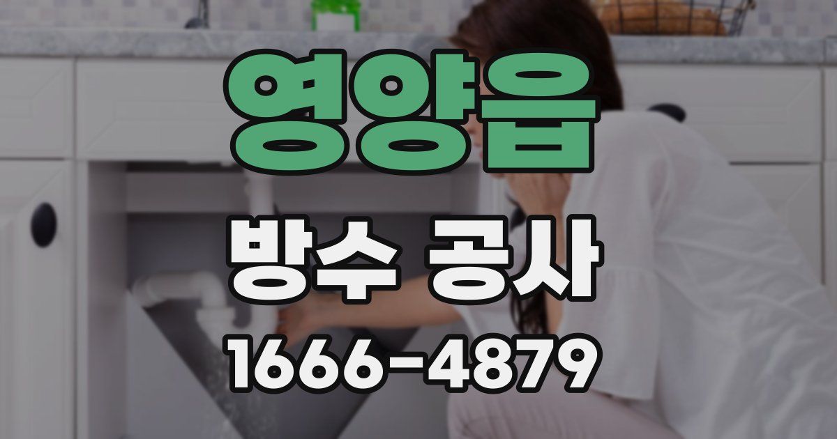 영양읍 방수 공사