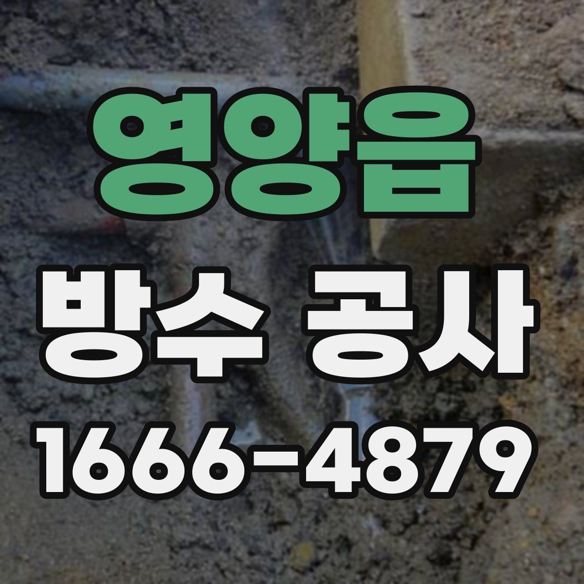 영양읍 방수 공사