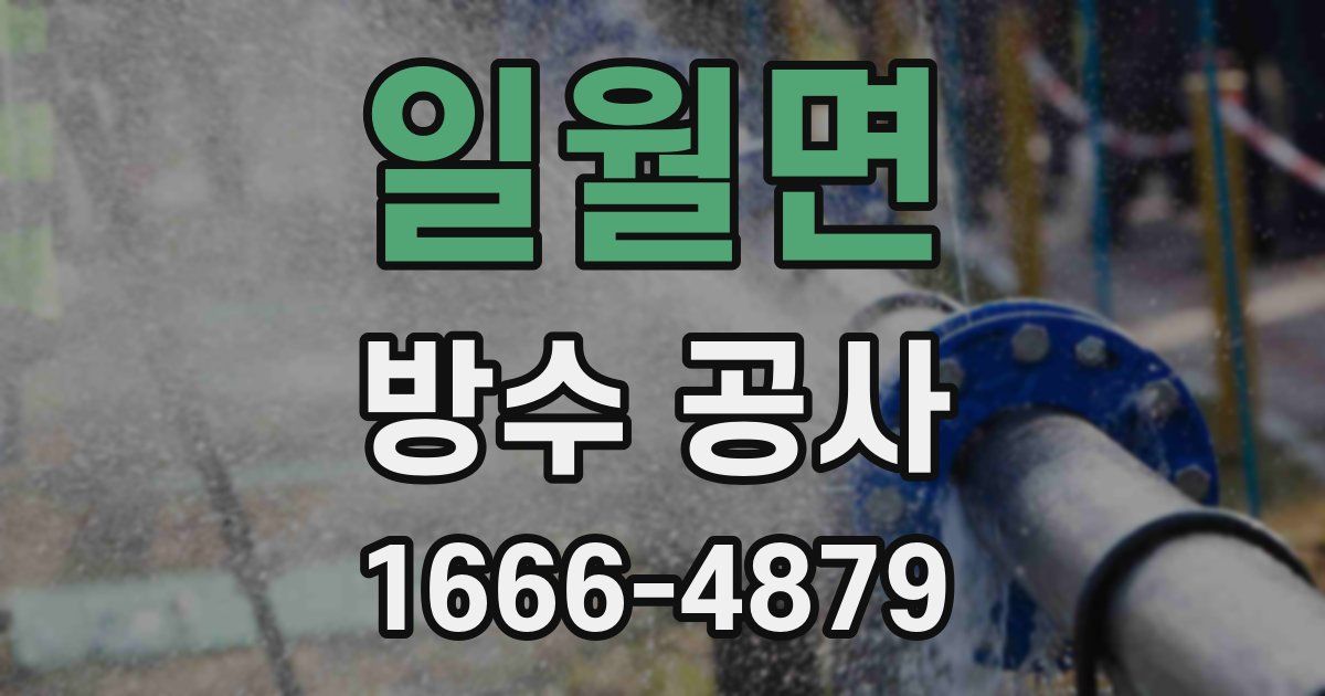 일월면 방수 공사