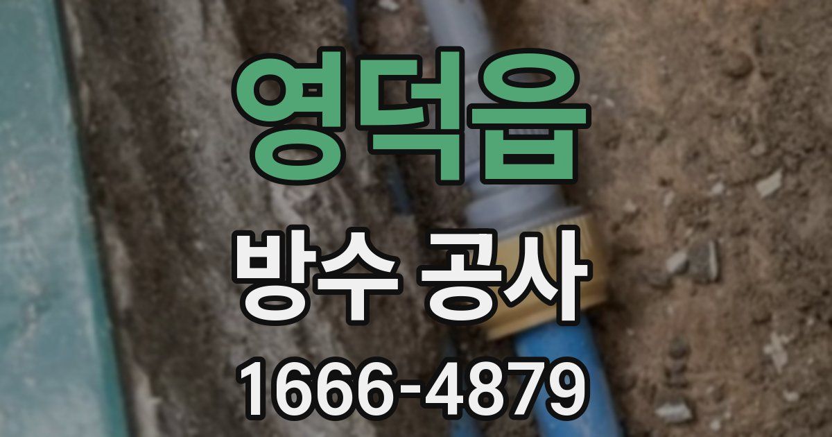 영덕읍 방수 공사