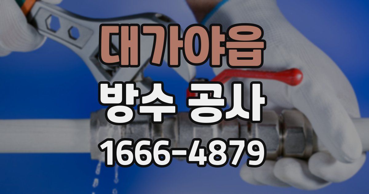 대가야읍 방수 공사
