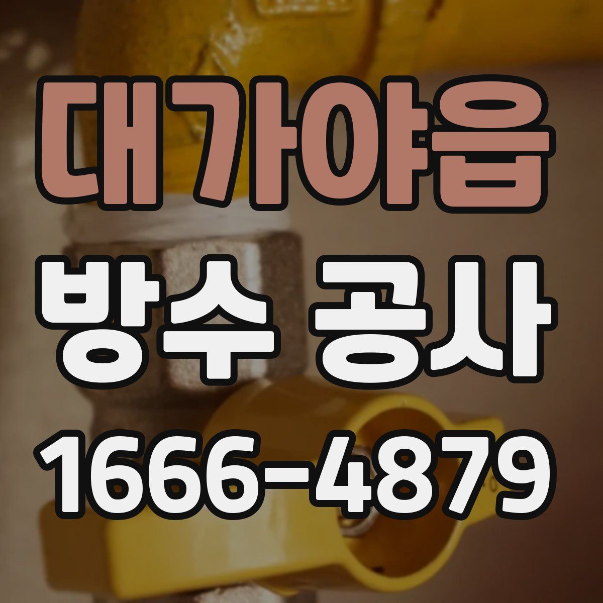 대가야읍 방수 공사