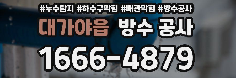 대가야읍 방수 공사
