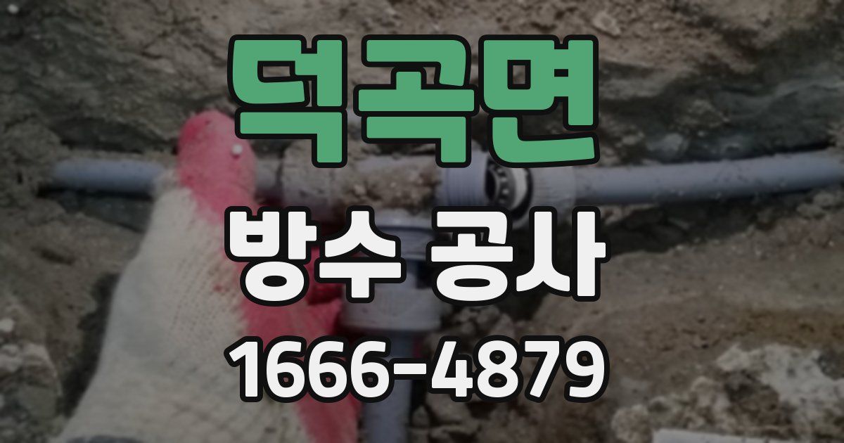 덕곡면 방수 공사