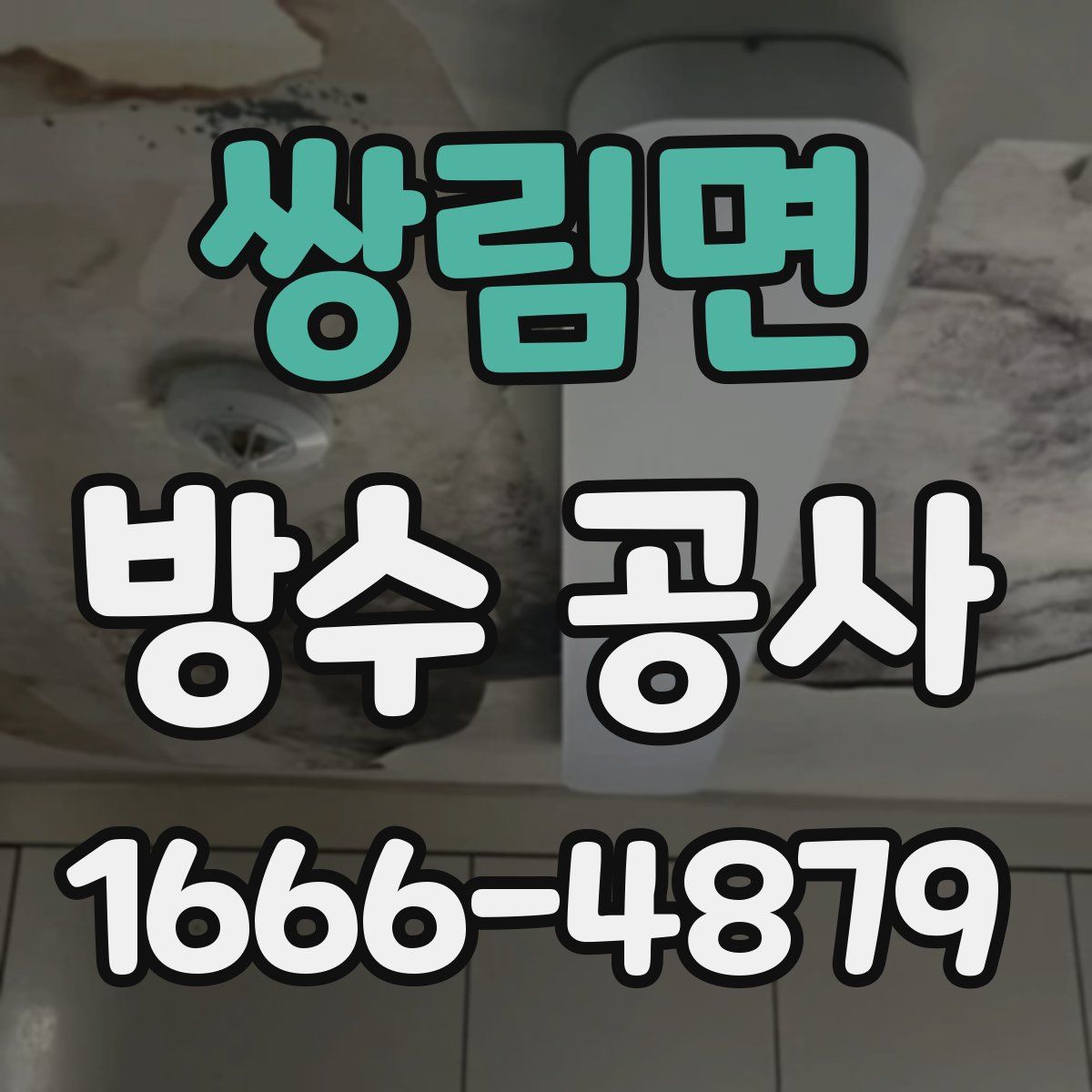 쌍림면 방수 공사