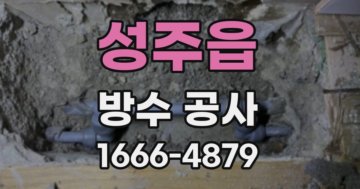 성주읍 방수 공사