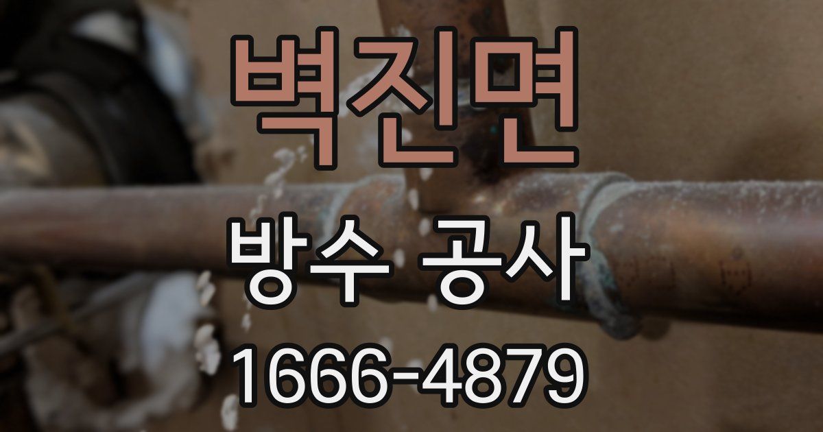 벽진면 방수 공사