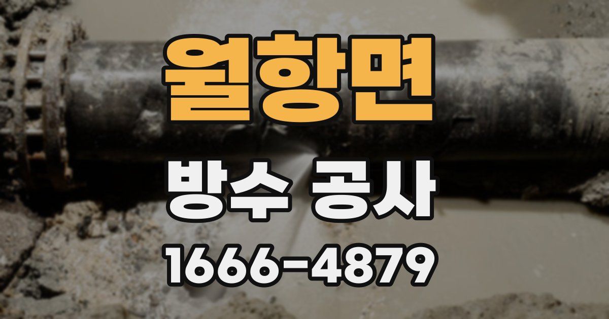 월항면 방수 공사