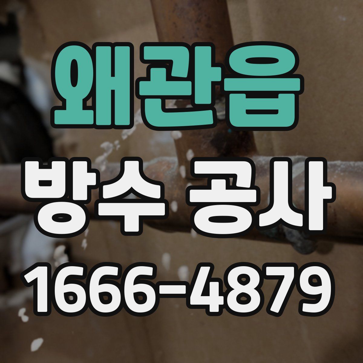 왜관읍 방수 공사
