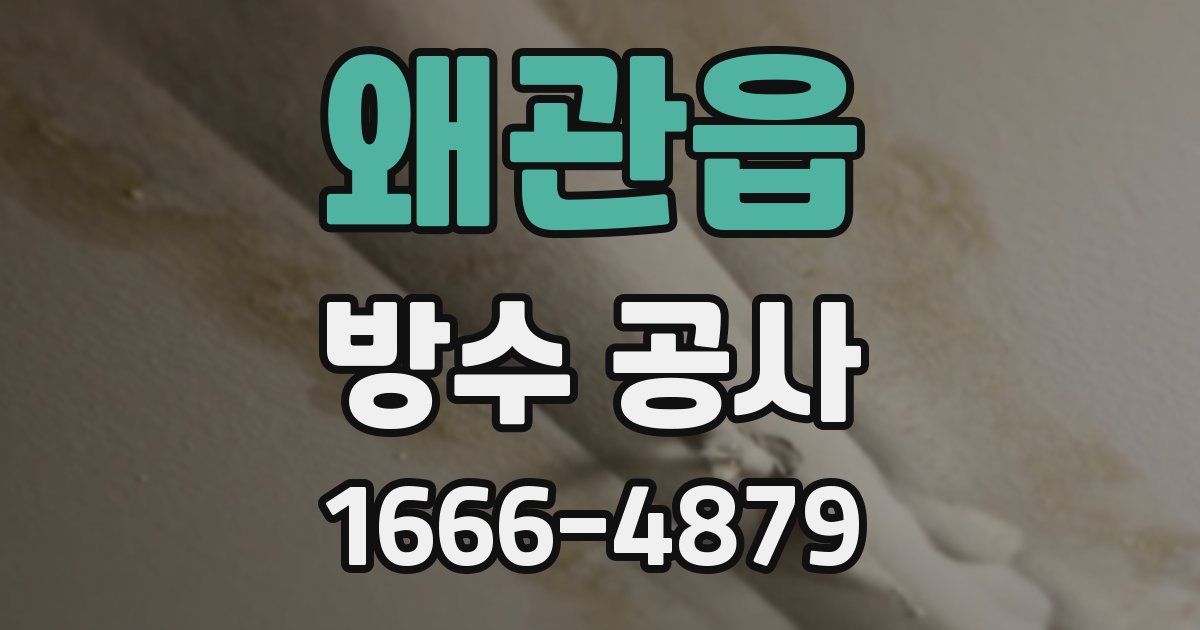 왜관읍 방수 공사