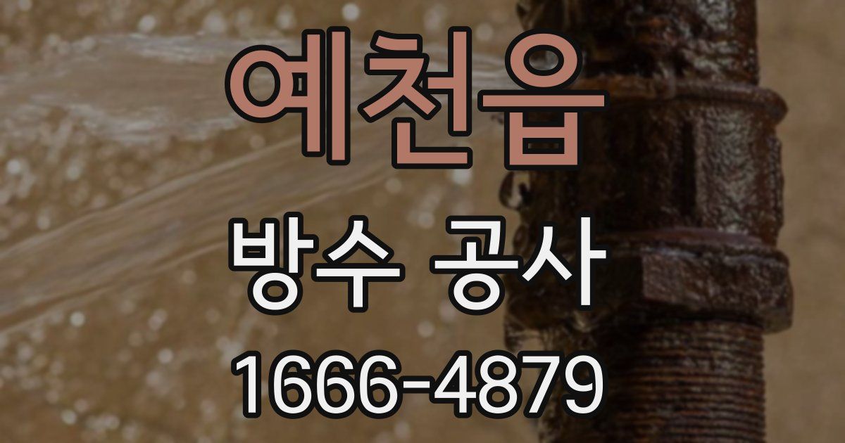예천읍 방수 공사