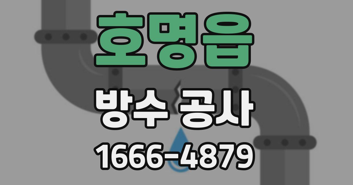 호명읍 방수 공사