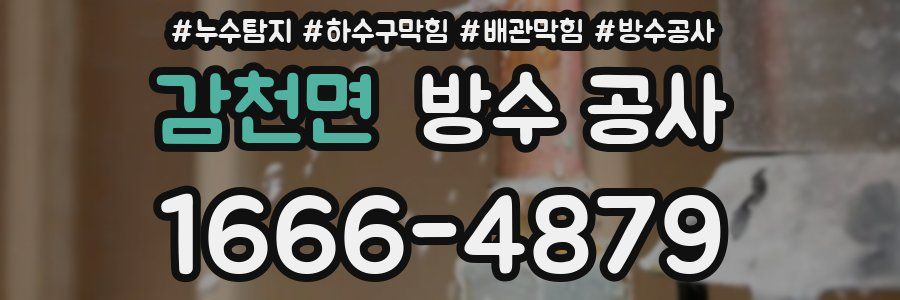 감천면 방수 공사