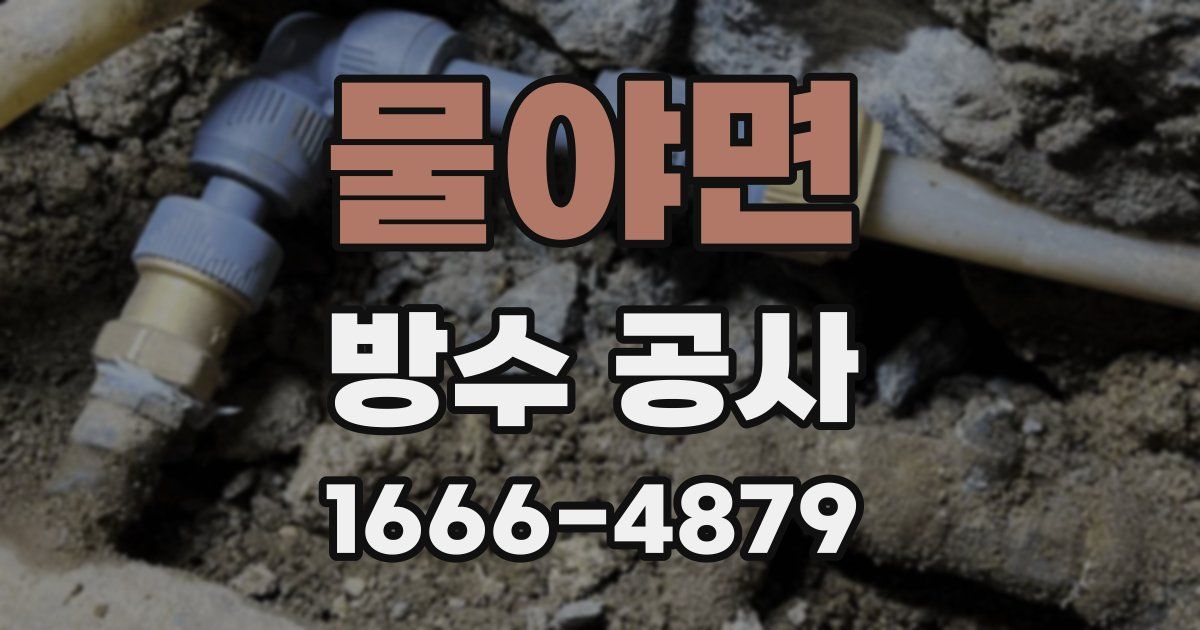 물야면 방수 공사