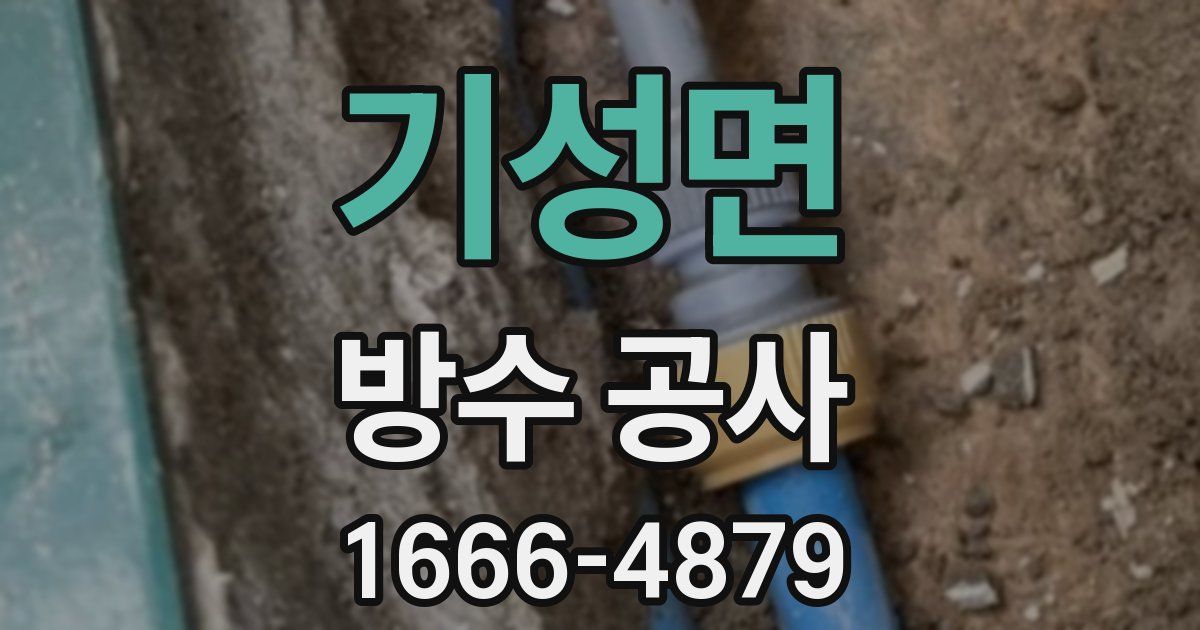 기성면 방수 공사