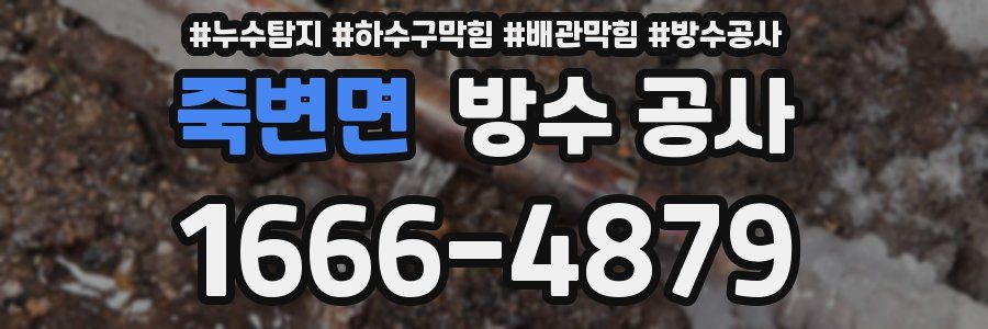 죽변면 방수 공사