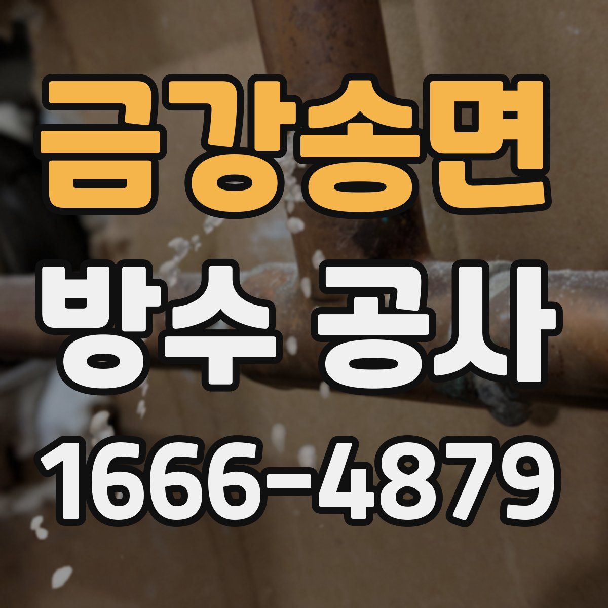 금강송면 방수 공사