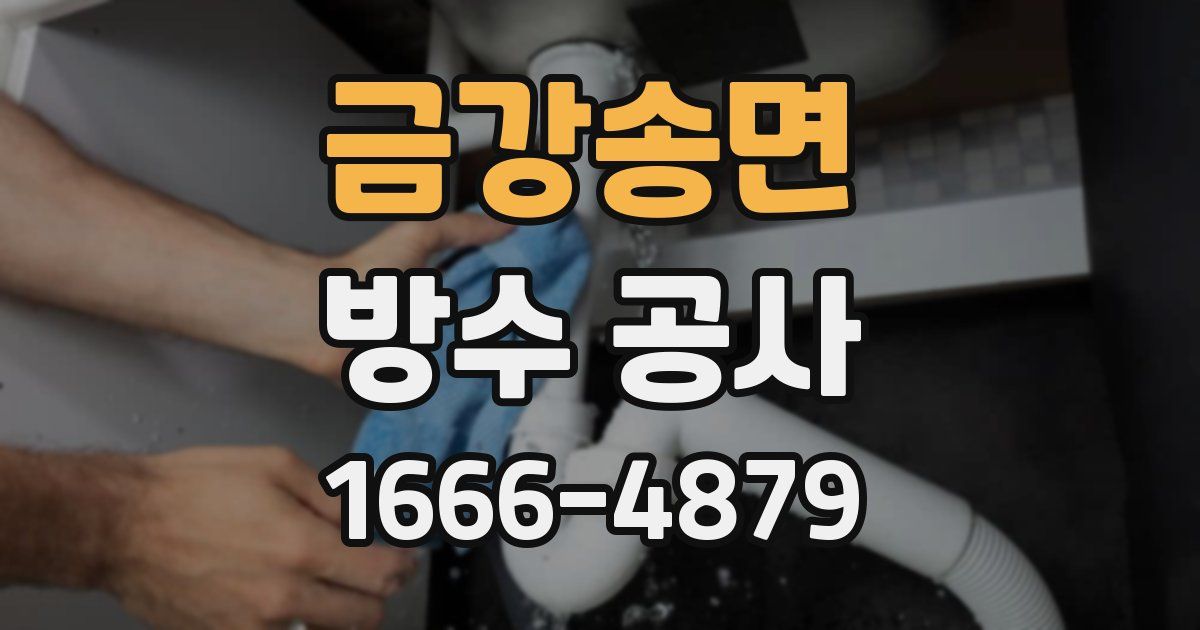 금강송면 방수 공사
