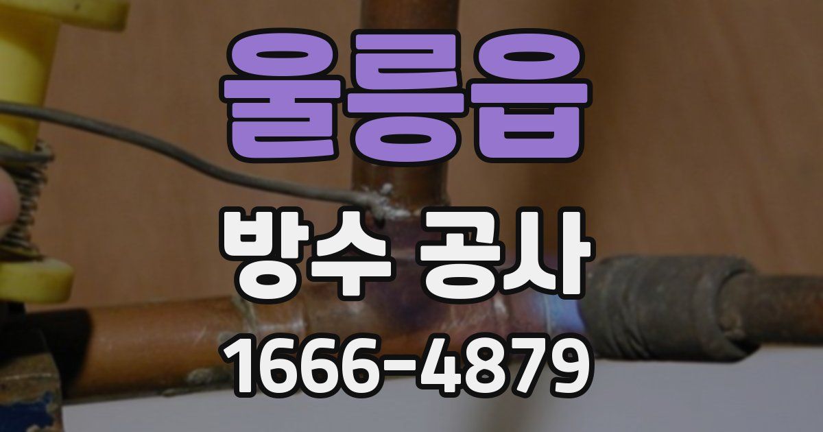 울릉읍 방수 공사